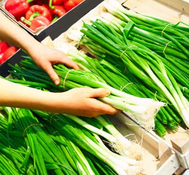 Human hands holding spring onions in a supermarket