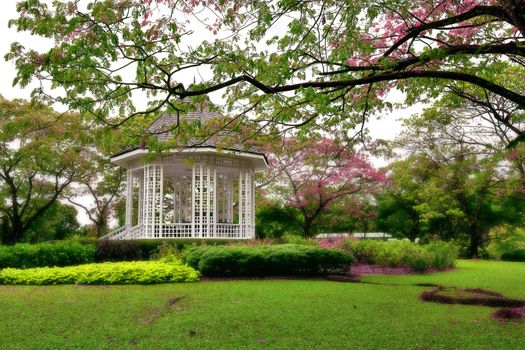 Picture of the beautiful bandstand in Singapore botanic gardens