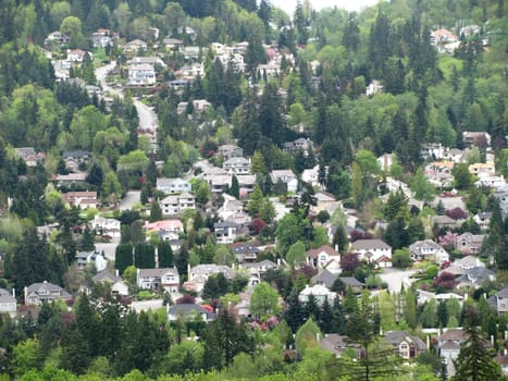 Residential homes nested on a hillside with a street running through them.