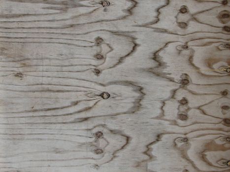 Wood background