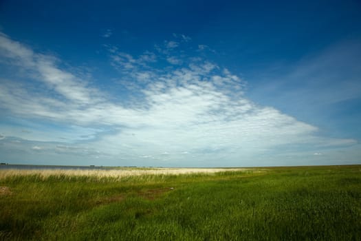 Prairie landscape. Near Chany lake, Novosibirsk area, June 2007