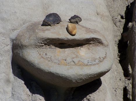 this happy face is made from natural smile with rock eyes and nose