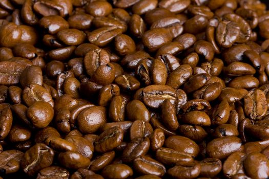 Brown coffee beans closeup as a background