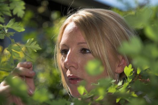 Pretty blond woman checking the leaves of the tree