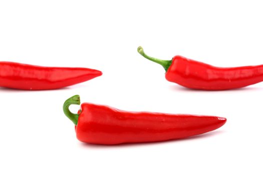 red hot chili pepper isolated on white