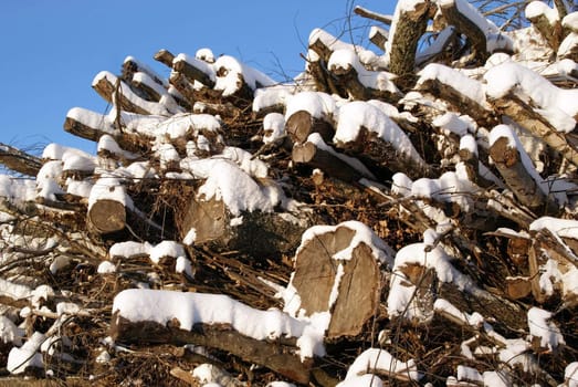 A large pile of fuelwood of deciduous trees like birch, covered with snow against the blue sky in winter. Photographed in Salo, Finland November 2010.