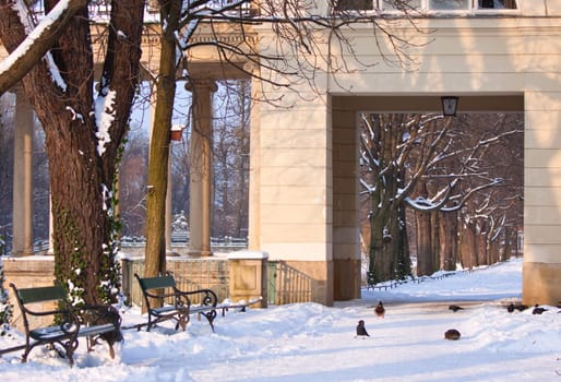 Royal Baths park during winter,  Warsaw,  Poland