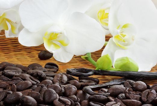 Rich roasted coffee beans with whole vanilla pods and beautiful white orchid blossoms.