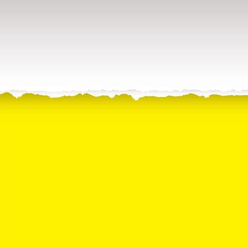 Yellow paper background with torn edge and copy space