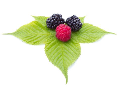 blackberries and raspberry on leaves, isolated on white