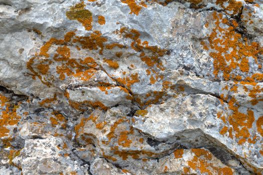 close-up old mossy stone texture