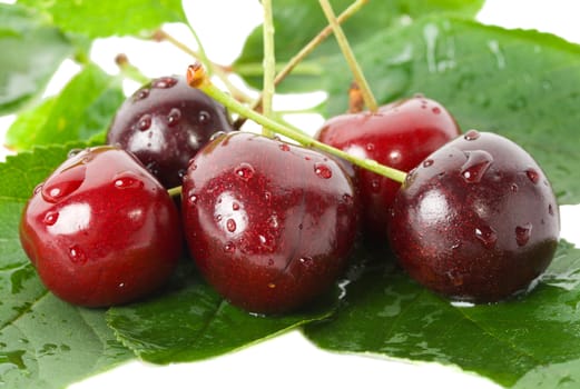 sweet cherries with leaves, isolated on white