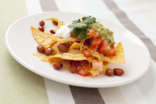 Fresh nacho chips with beans, tomatoes, cheese and guacamole