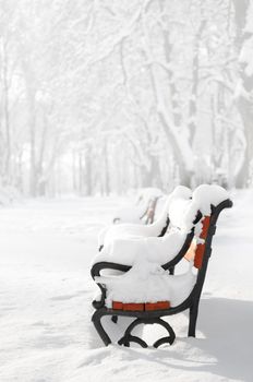 A row of red benches covered with snow in the fog in winter