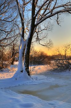 Beautiful winter sunset with a tree over a frozen river