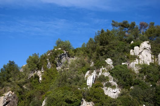 landscape, Portugal mountain with a beautiful forest overgrown with caves