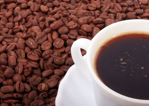 Coffee cup on coffee beans background