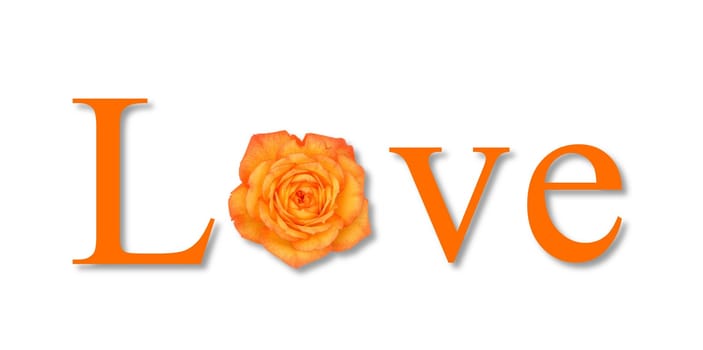 The text love with a flower on white background.