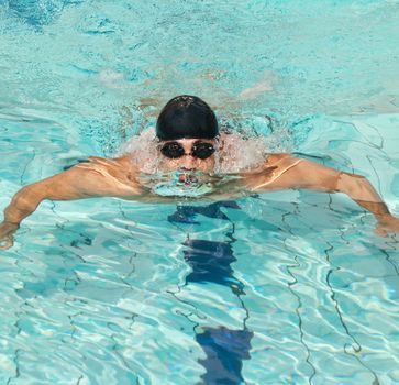 Young male athlete swimming butterfly style in a pool