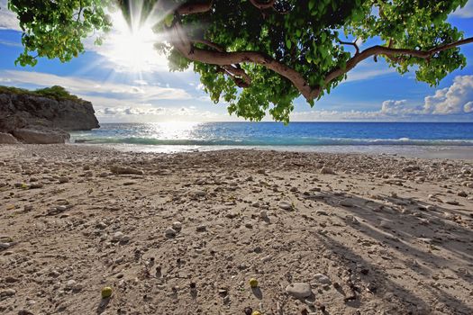 Beautiful landscape on the caribbean island, Curacao