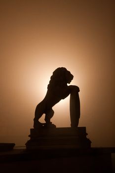 Lion silhouette during the misty night