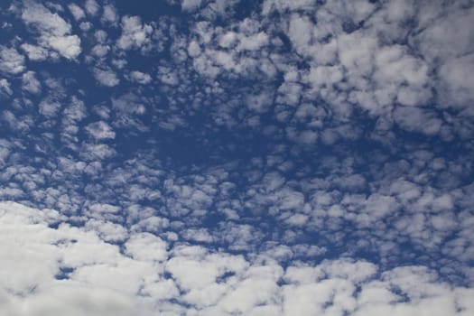 Sometimes it's good to look up and enjoy such spectacles as these gorgeous Mackeral Clouds