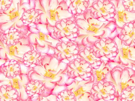 floral textured background, pink white and yellow flowers in array