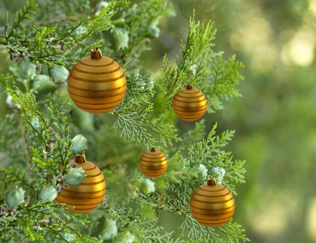 live green christmas tree pine tree decorated with gold bauble balls decorations