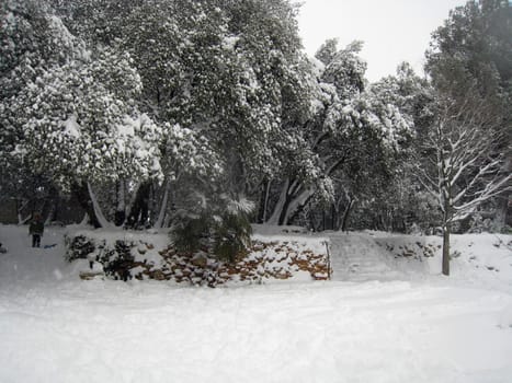 snowered landscape in the south of France