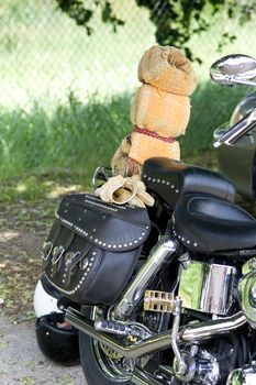 The back of a motorcycle, with studded saddle bag, chrome accessories, and custom backrest.