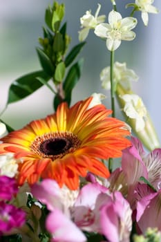 Closeup of a flower arrangement, focus on a yellow to orange daisy.