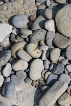 Closeup of shore stone, on the beaches of Georgian Bay, in the Bruce Peninsula, Ontario, Canada.