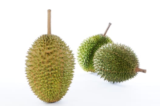 Durians, the king of fruits of South East Asia on white background.