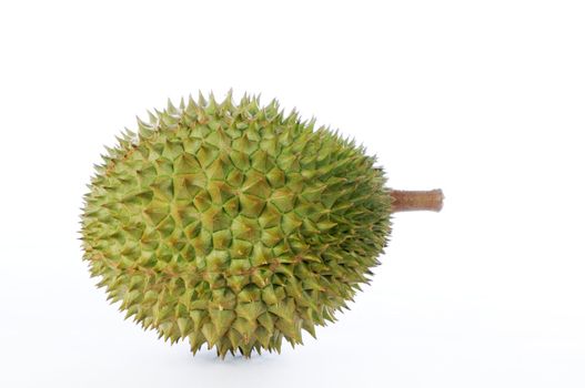 Durian, the king of fruits from South East Asia on white background.