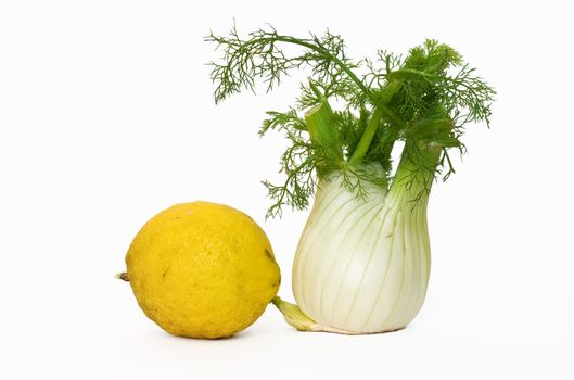 Fennel and lemon isolated on white background