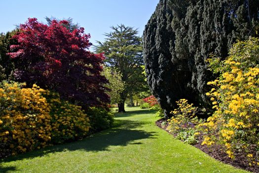 A grassy pathway through a green and verdant English garden in the spring