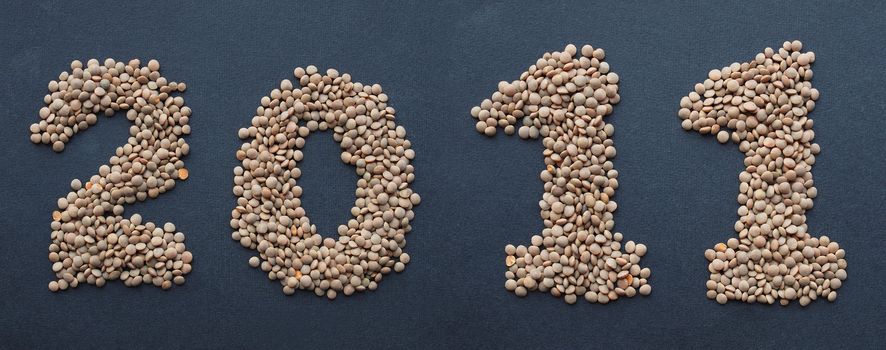 Year 2011 written with lentils pulse beans