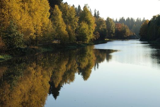 Calm river flowing in autumn landscape