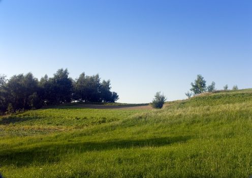 The beautiful fields of grain stretching under the blue sky