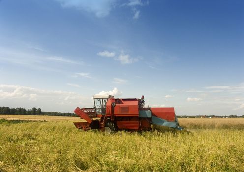 Big red combine performing his job.Combine shear rape