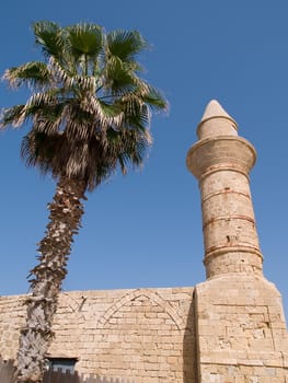Oriental Muslim Mosque tower with palm trees vertical image     