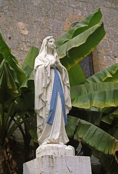 Banana leaves provide the backdrop to a statue honouring the Virgin in Barbotan-les-Thermes SW France