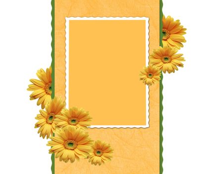 Framework with chrysanthemums for a photoon the isolated white background