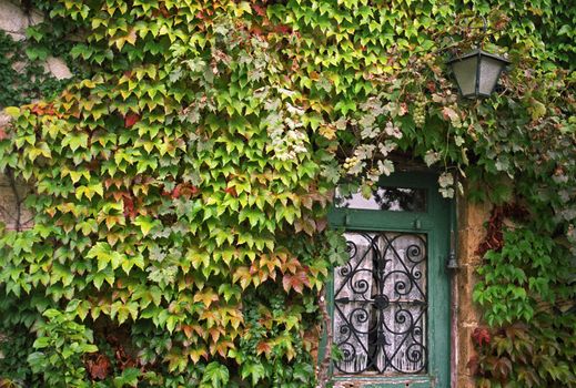 Doorway, surrounded by ivy and adorned by grapes and a lamp, tucked away in the village of Aignan SW France 
