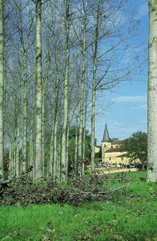 The parish church of Sauboires SW France visible through a clearing in a poplar plantation