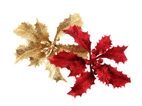 Shiny red and golden Christmas holly decorations