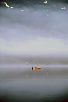 Fishing boat in a fog day with many birds in the sky