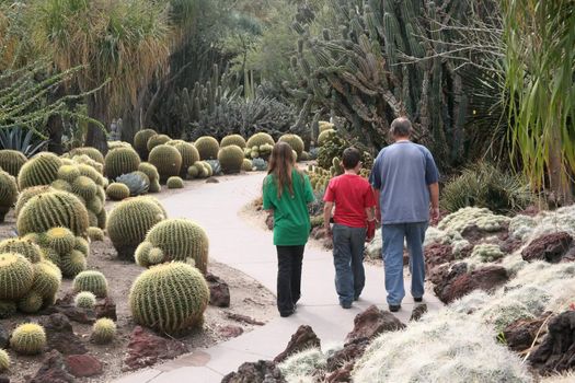 Father daughter and son walking through a cactus garden