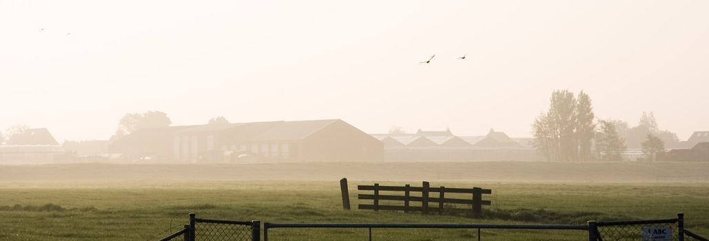 Company with glasshouses in farmland with fences on the foreground just after misty sunrise