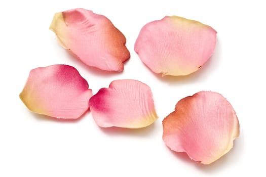 Scattered flower petals isolated on white background